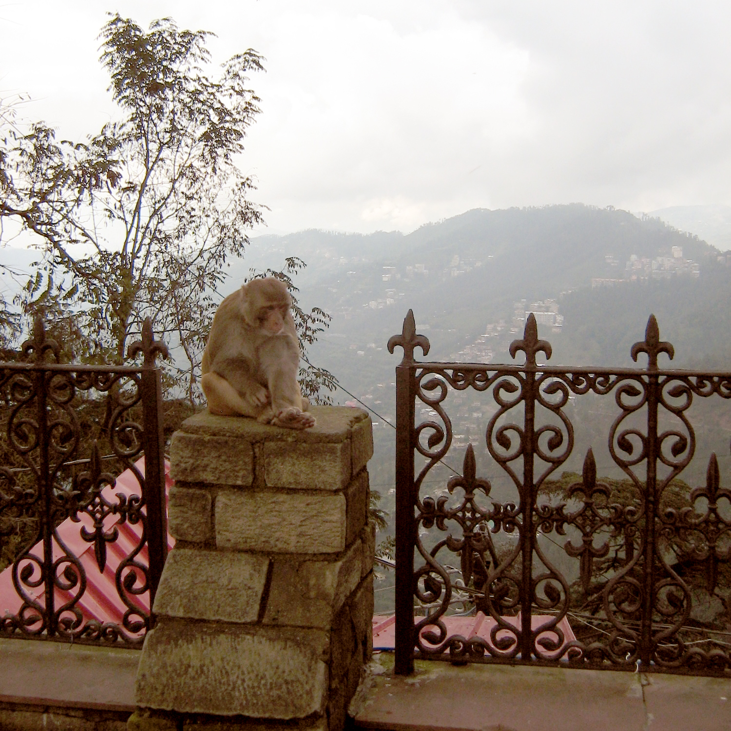 Don’t be a smartass, just listen to the locals